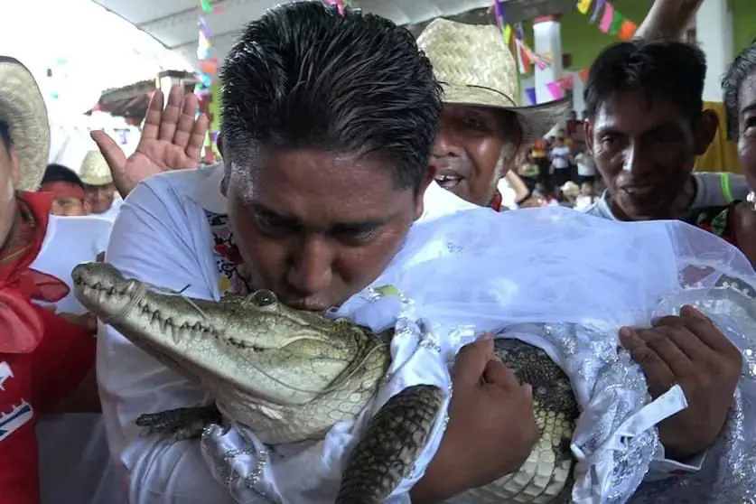 Alcalde de Oaxaca besando a un caimán hembra
