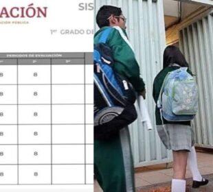 Boletas digitales