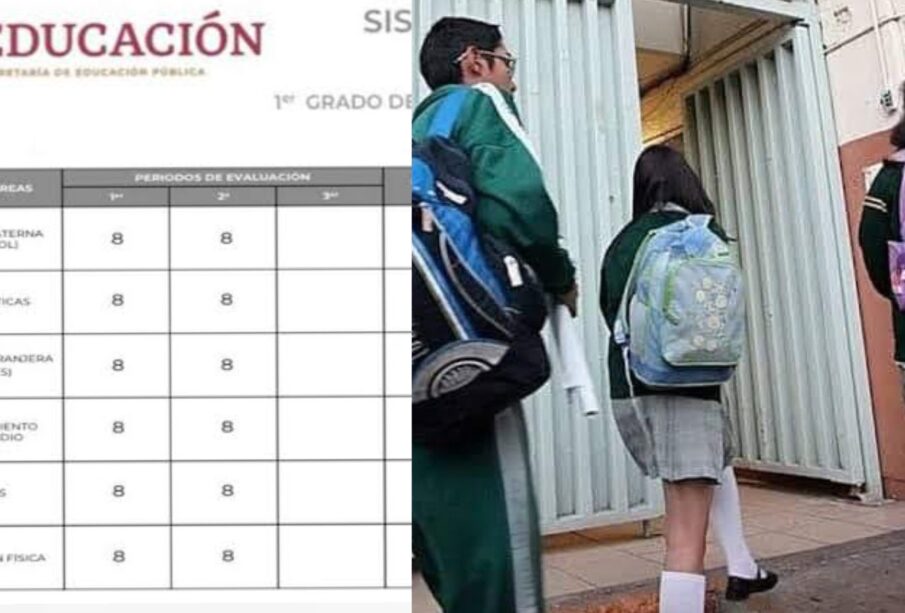 Boletas digitales