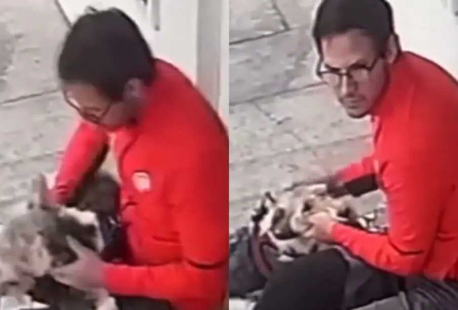 Viral: Captan a hombre golpeando a un cachorro en la CDMX