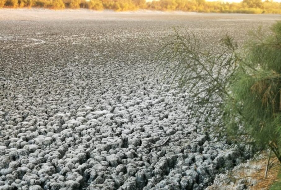 Cambio climático en BCS