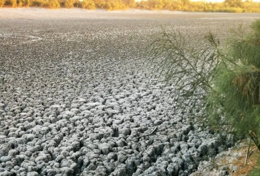 Cambio climático en BCS