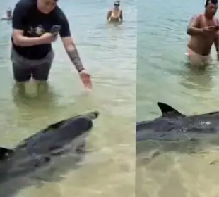 Los Cabos