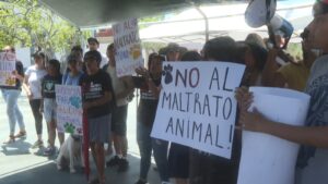 Manifestantes por el caso de Peluchin