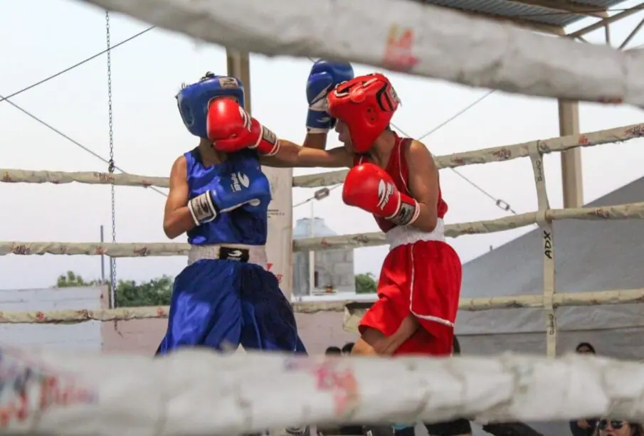 Boxeadores pueden sufrir de knockout fulminante