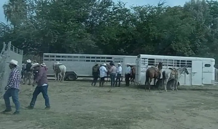 personas con caballos atados a remolques