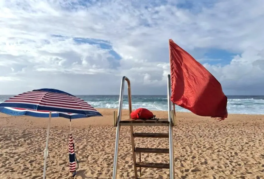 Zofemat Los Cabos pide prevenir al asistir al mar