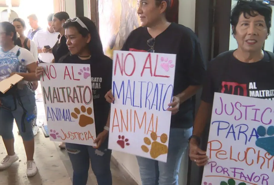 Manifestación por asesinato de animales