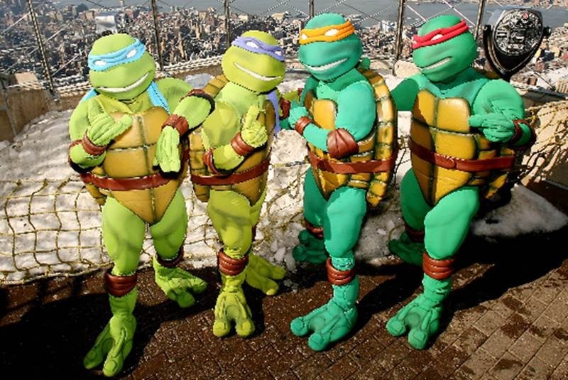 Tortugas Ninjas, el origen