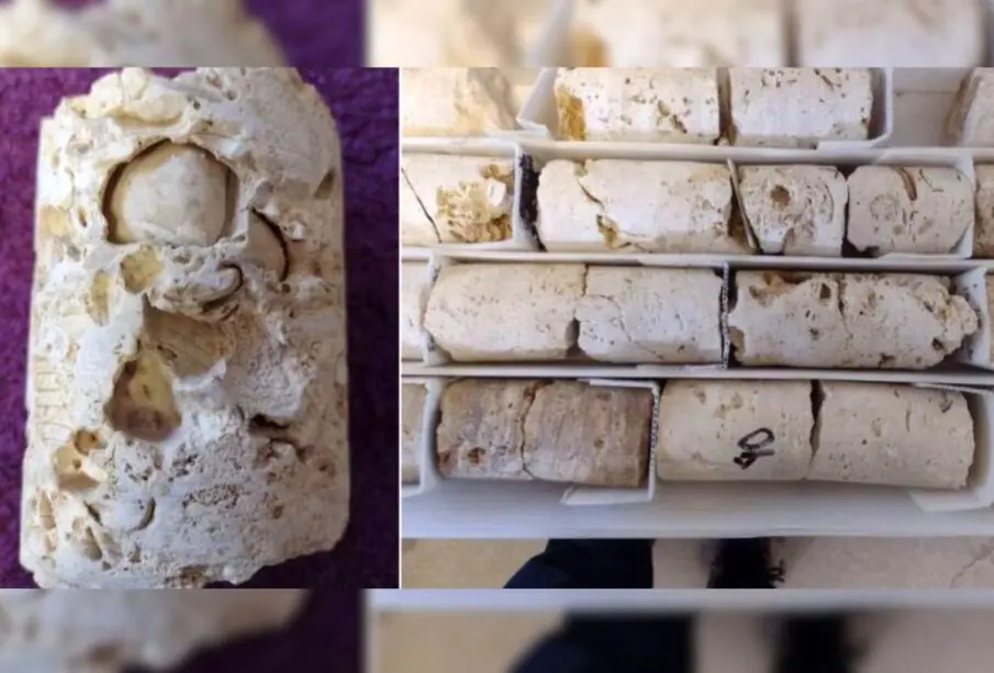 Venta de piedras del Tren Maya