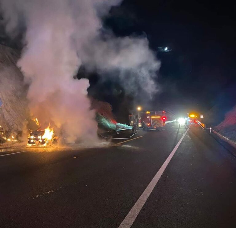 Auto incendiándose en carretera