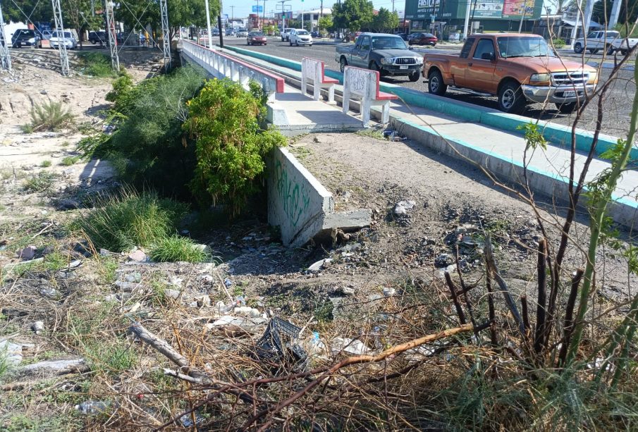 Banqueta rota y con basura