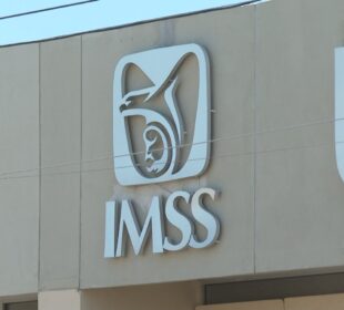 Logo del IMSS