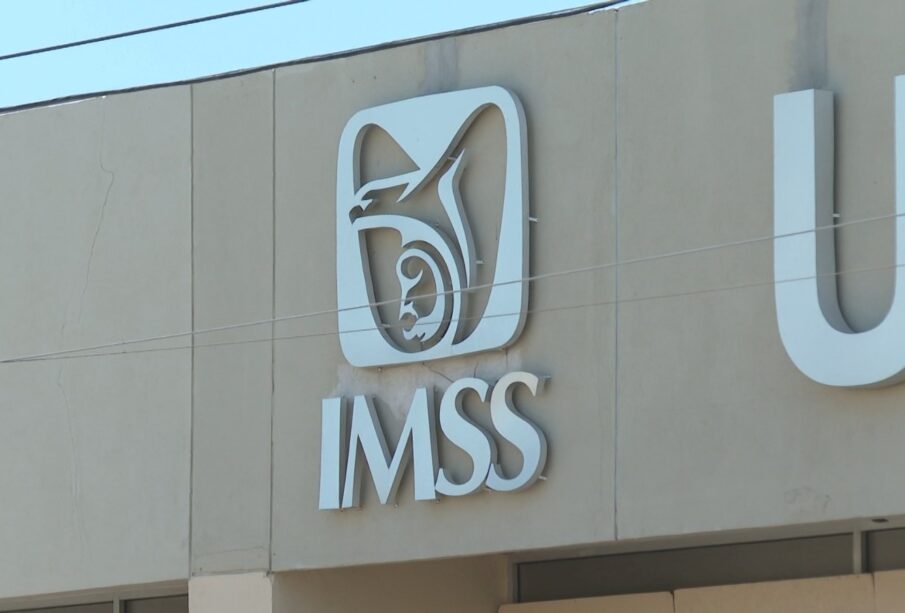 Logo del IMSS