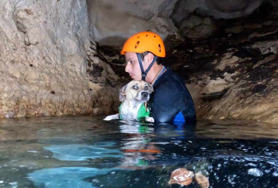 Perrita Shakira rescatada en un cenote en Yucatán.