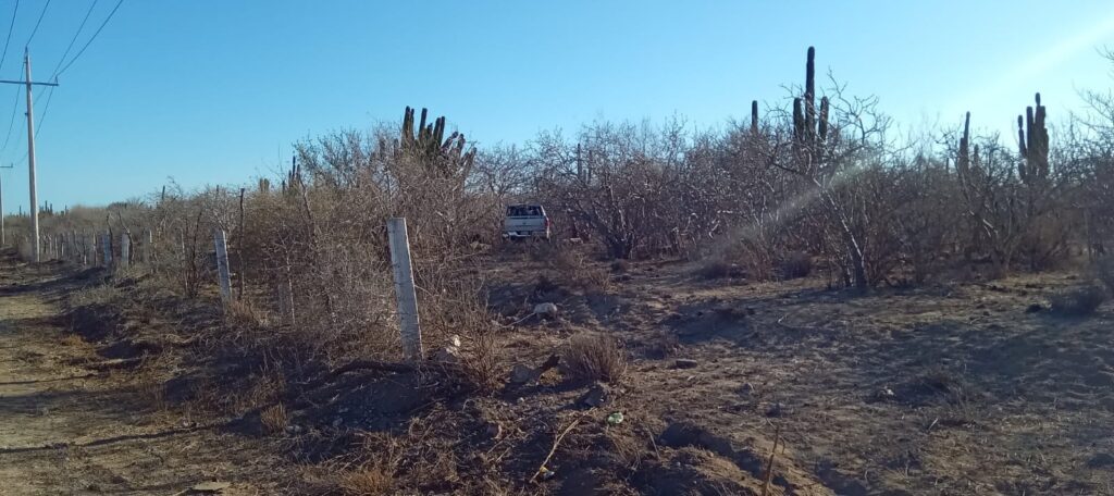 Tramo La Paz-Todos Santos donde un vehículo gris perdió el control