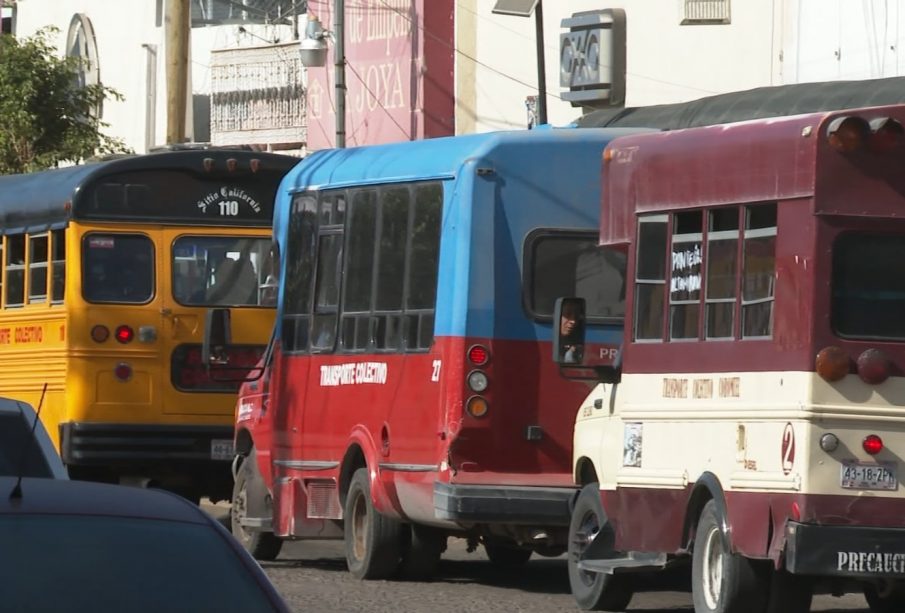 Unidades del transporte público de La Paz.