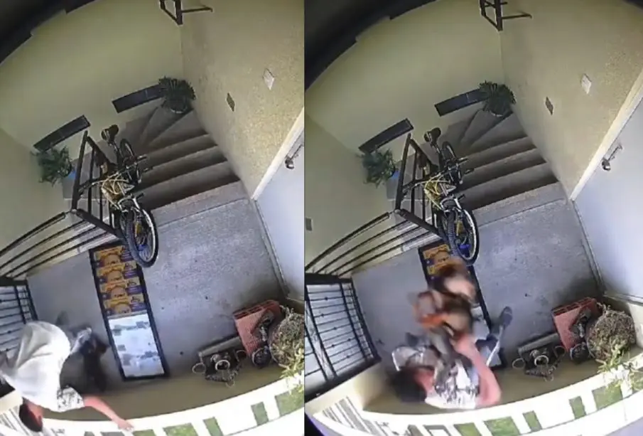 Viral maltrato animal en Puebla