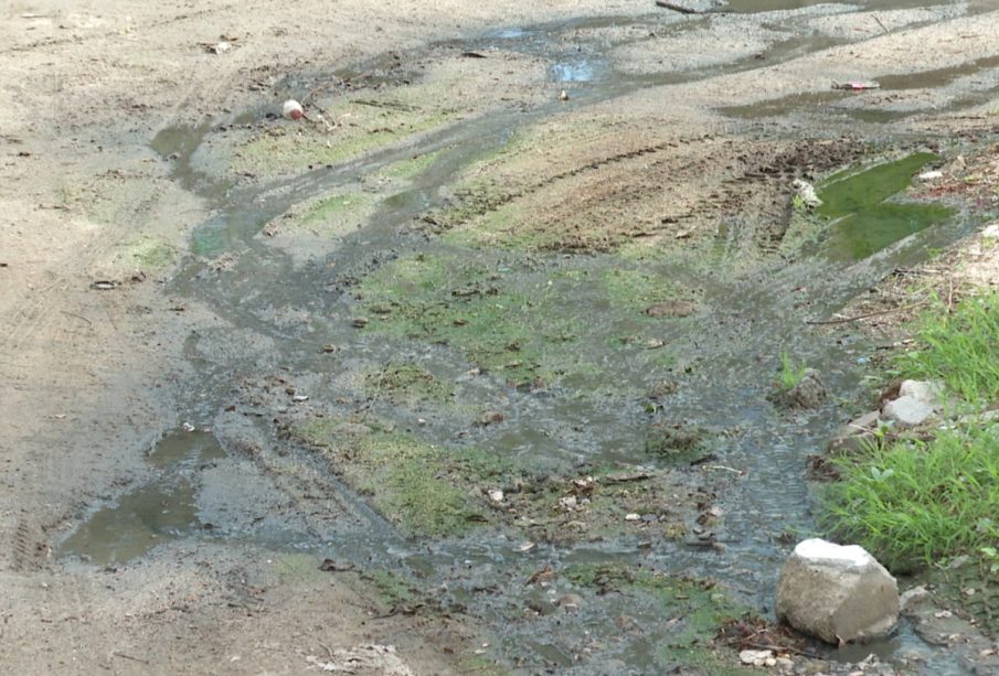 Aguas negras en BCS.