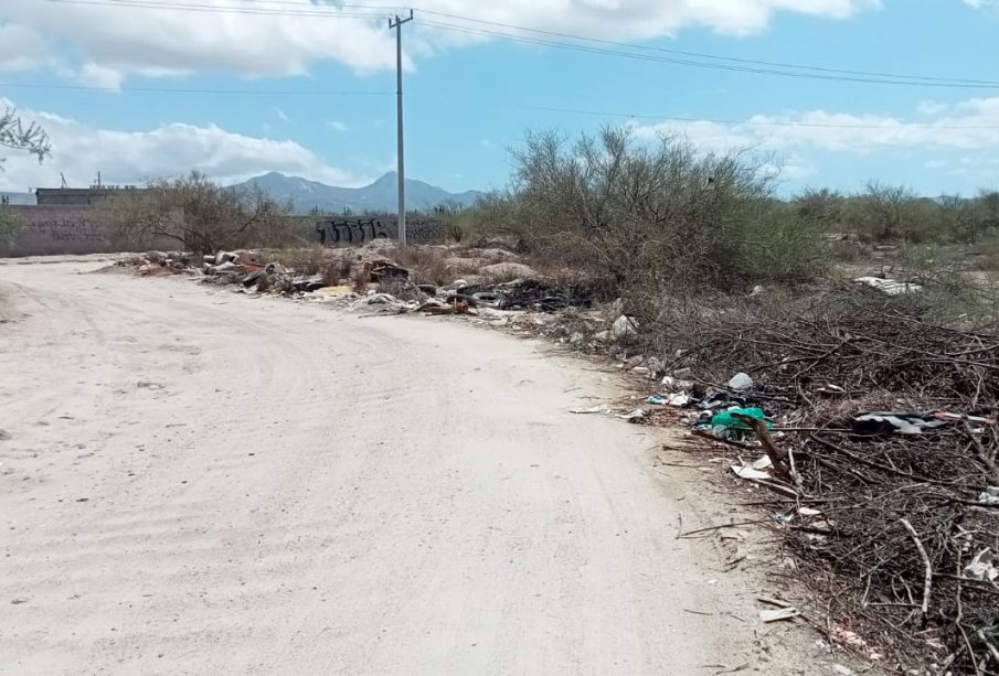 Calle con basura