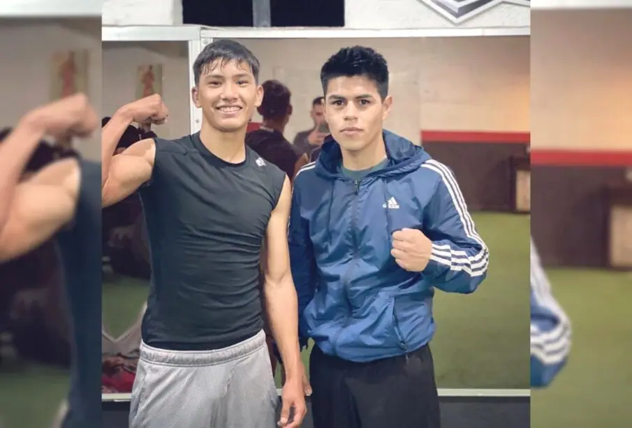 Boxeadores de BCS