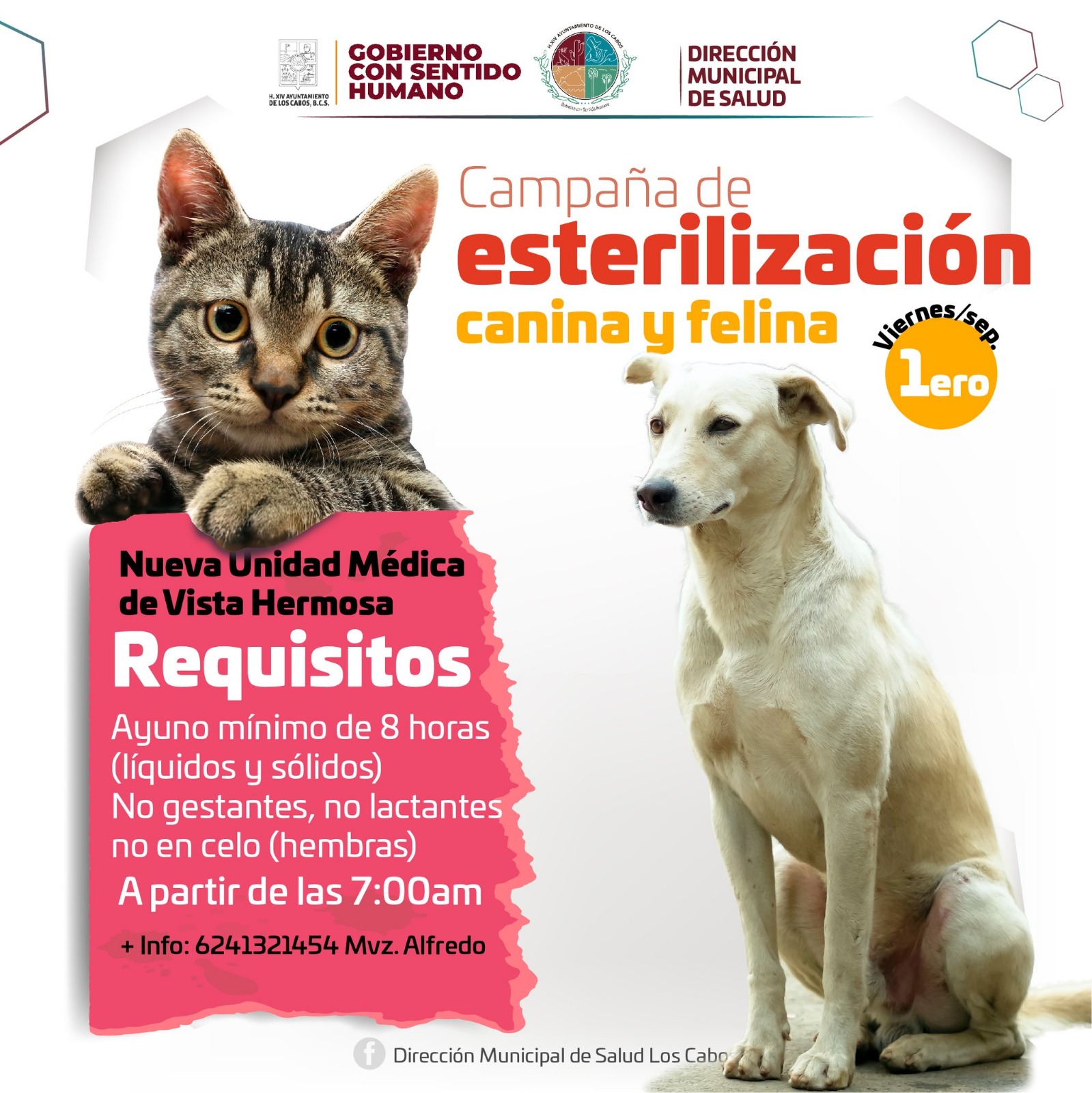 Invitación a campaña de esterilización