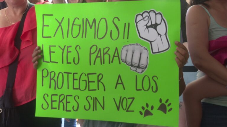 cartel con exigencia para proteger a las mascotas