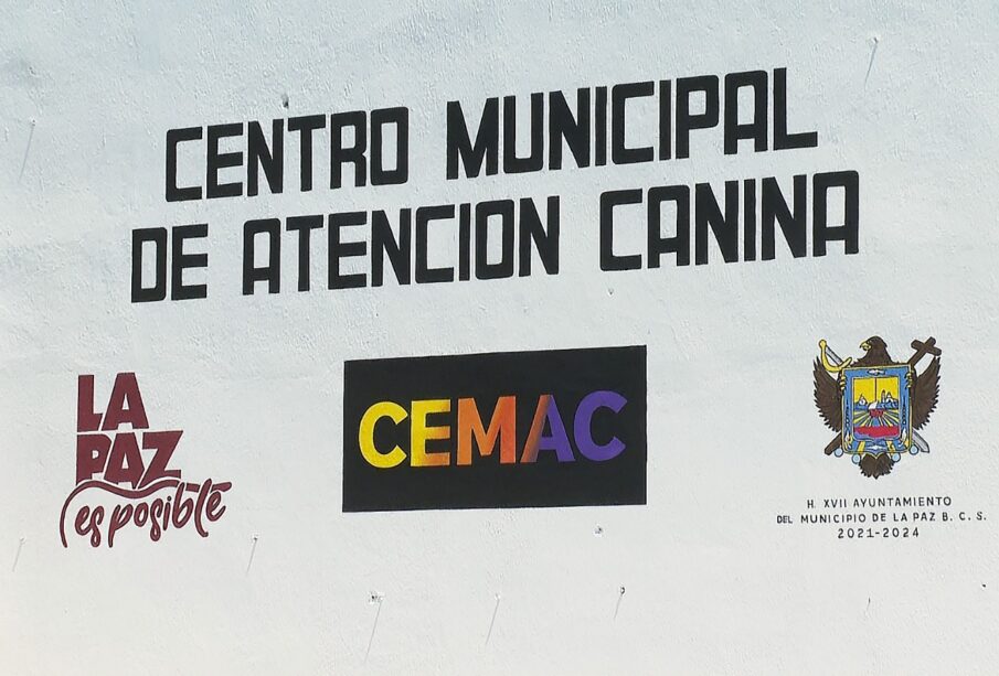 Logo de CEMAC La Paz