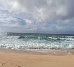 Puerto de Los Cabos es cerrado a las actividades