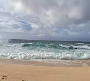 Puerto de Los Cabos es cerrado a las actividades