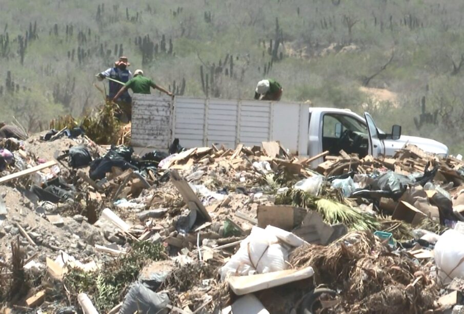 Crearán energía a partir de la basura en Los Cabos