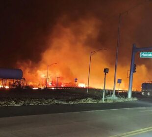 hawaii incendios forestales