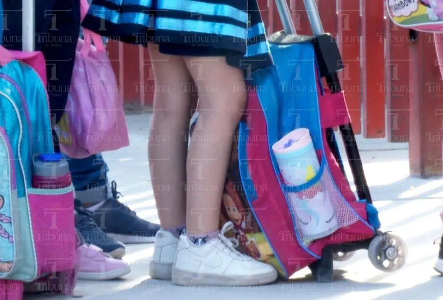 Estudiante de BCS