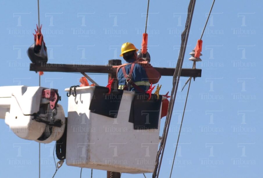 Trabajador de la CFE