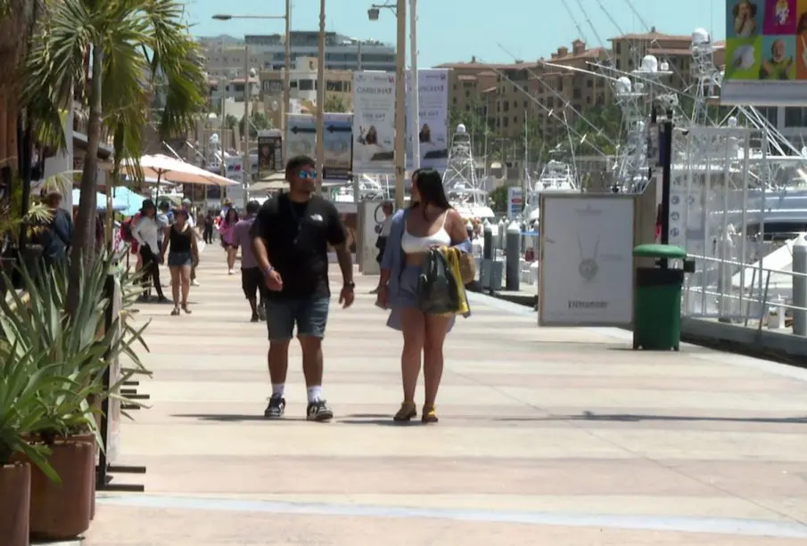 Diputados del PT Los Cabos.