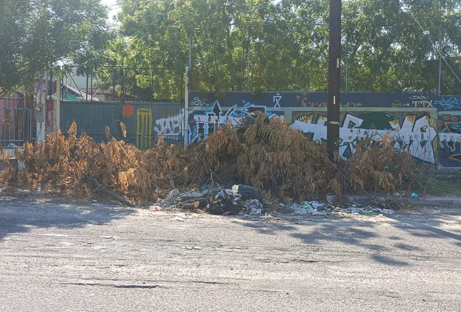 ramas y basura amontonada en la calle