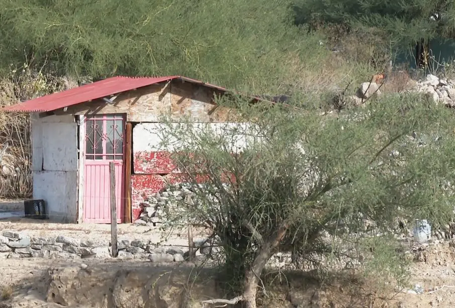 Casita entre matorrales