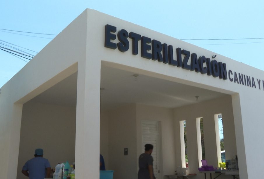 Clínica de esterilización