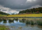 Lago y bosque