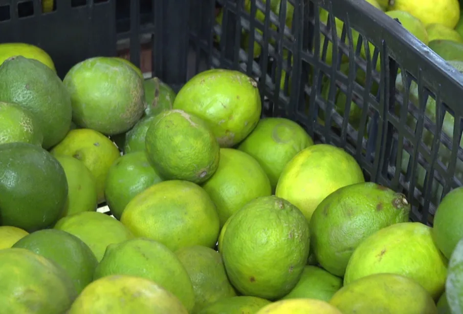 Caja con limones