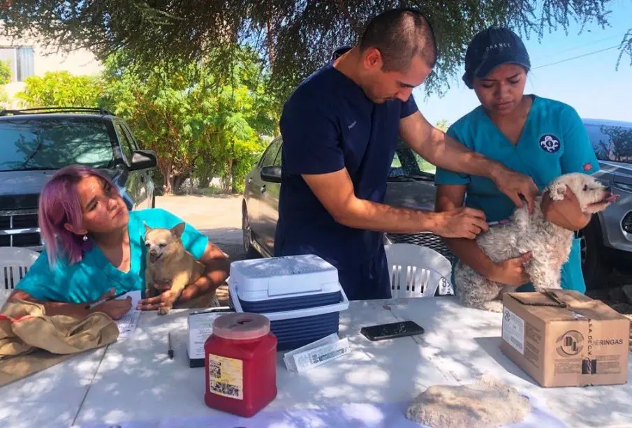 Se realiza campaña de vacunación en La Paz