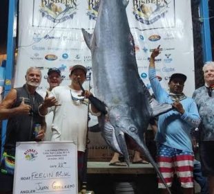 Turistas junto a marlín en pesca deportiva