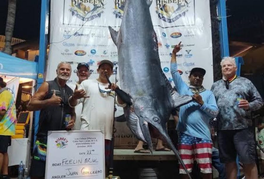 Turistas junto a marlín en pesca deportiva