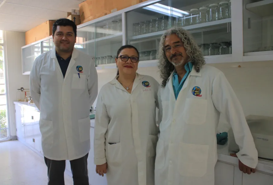 Profesores investigadores de la UABCS