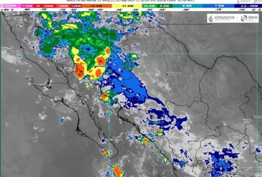 Pronóstico del clima.