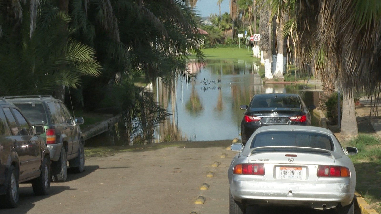 Coches sin poder transitar por desbordamiento de estero en SJC