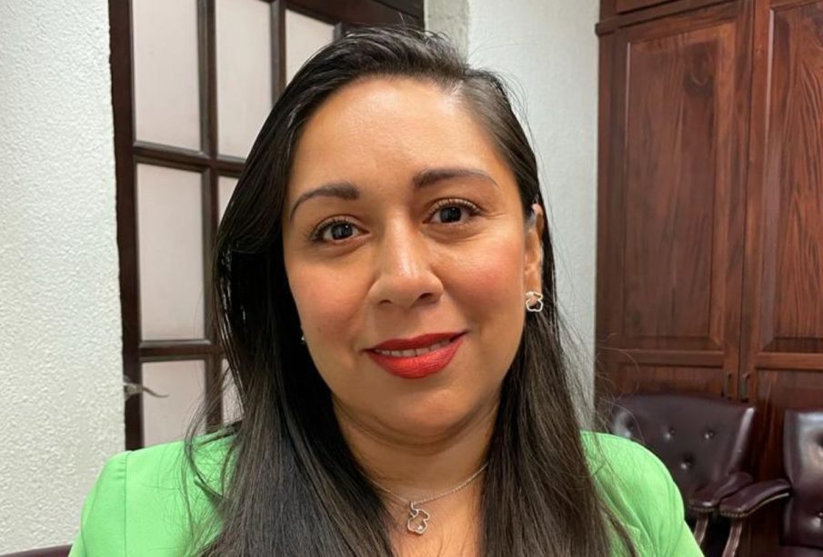 Cecilia González Salas, directora municipal de Licencias de Construcción