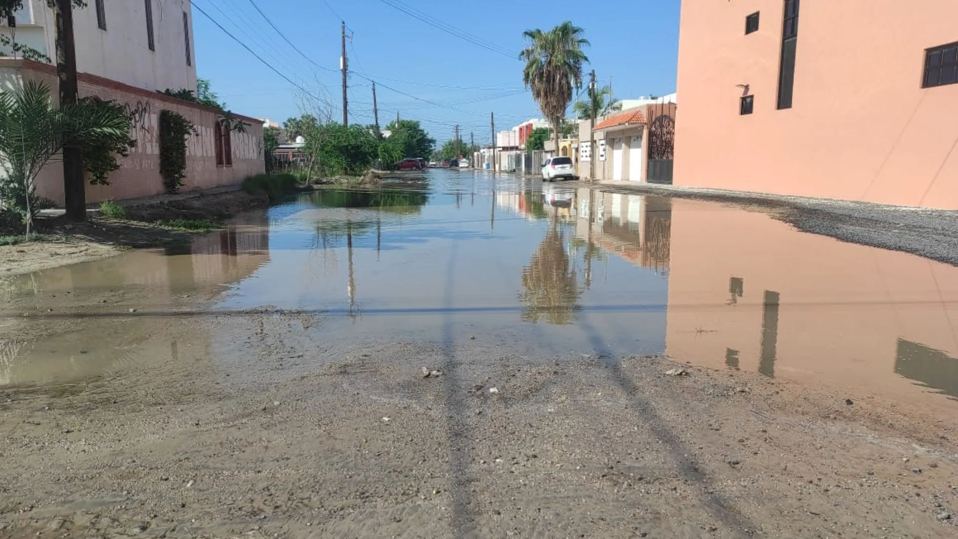 Derrame de aguas negras en la colonia Cactus Harinera.