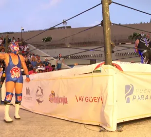 Luchadores en ring