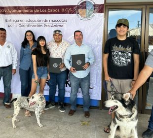 Las personas interesadas en adoptar un perro en los cabos, deben cumplir algunos requisitos.